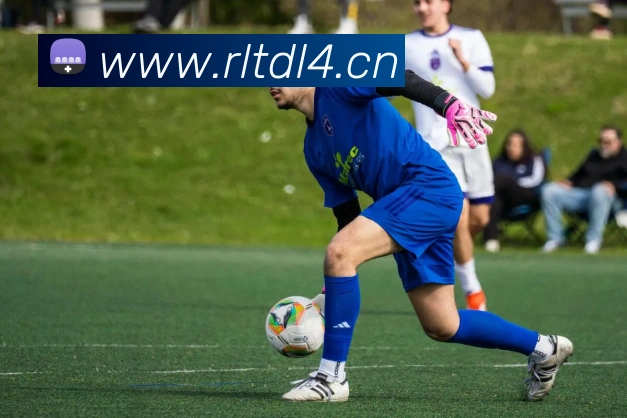 星空官方平台平台生态图